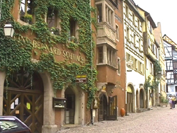 weinberankte Fassaden