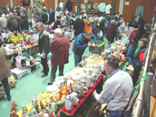 Die Hermann-Burte-Halle im Detail