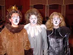 Cats